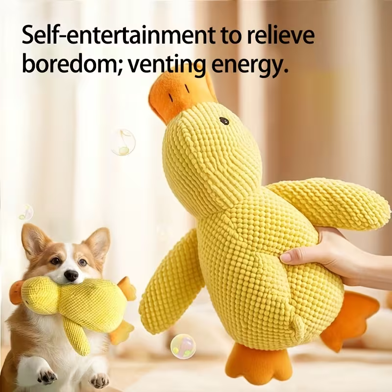 Pet Toys & Training
