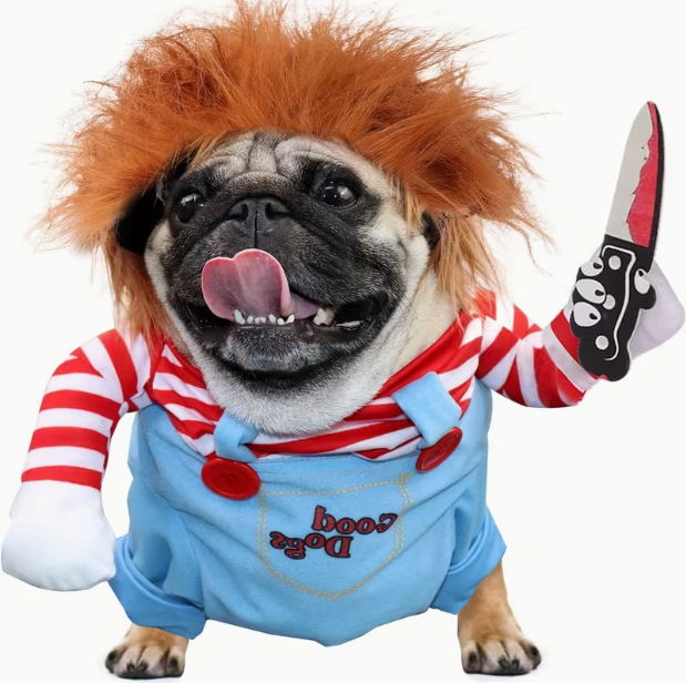 "Ahoy Matey!" Hilarious Pirate Dog Costume - Funny Pet Standing Transformation Outfit for Dogs & Cats, Perfect for Halloween, Parties & Photoshoots (
