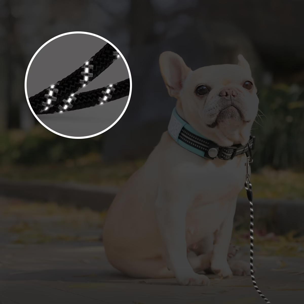 Professional Pet Training Slip Lead - Heavy Duty Reflective P-Rope Dog Leash, Anti-Pull No-Choke Solution for Medium to Large Dogs