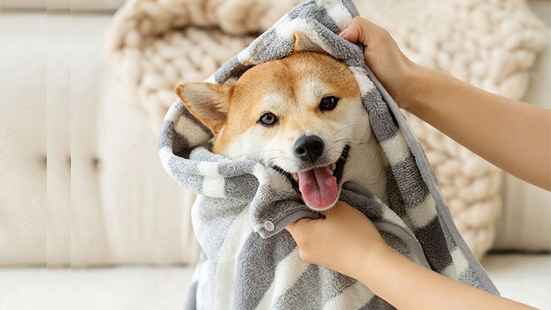 Super Absorbent Pet Drying Robe - Fast-Drying Microfiber Dog Bath Towel Coat with Adjustable Waist for Small, Medium & Large Dogs