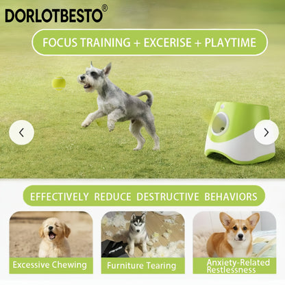 Pet Ball Thrower & Picker Toy - Fun Outdoor Interactive Play - Exercise Dog's Agility and Coordination - Durable Pet Retrieval Tool